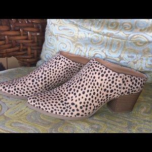 Universal Thread Leopard Western Mules